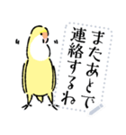 コザクラインコのとりもも(メッセージ)（個別スタンプ：24）