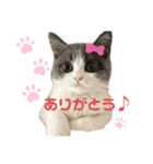 ほっこりつくねちゃんスタンプ（個別スタンプ：6）
