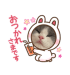 ほっこりつくねちゃんスタンプ（個別スタンプ：13）