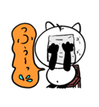おっさん猫のねこ吉でトークしよう！（個別スタンプ：1）