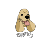 元気なワンコたち第二弾（個別スタンプ：9）