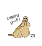 元気なワンコたち第二弾（個別スタンプ：12）