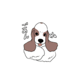 元気なワンコたち第二弾（個別スタンプ：16）