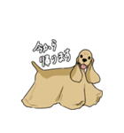 元気なワンコたち第二弾（個別スタンプ：18）