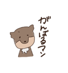 チベスナと私の日常（個別スタンプ：29）