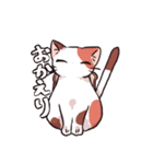 猫バタートーストスタンプ（個別スタンプ：7）