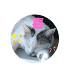 k.n オリジナル6（個別スタンプ：1）