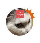 k.n オリジナル6（個別スタンプ：2）