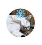 k.n オリジナル6（個別スタンプ：3）