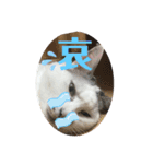 k.n オリジナル6（個別スタンプ：4）