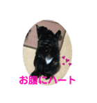 k.n オリジナル6（個別スタンプ：11）