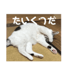 k.n オリジナル6（個別スタンプ：13）