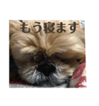 k.n オリジナル6（個別スタンプ：15）
