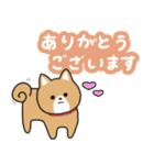 柴犬似エリーちゃん（個別スタンプ：10）