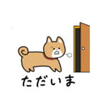 柴犬似エリーちゃん（個別スタンプ：22）