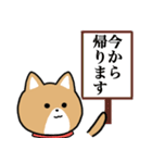 柴犬似エリーちゃん（個別スタンプ：25）