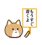 柴犬似エリーちゃん（個別スタンプ：27）