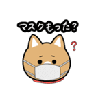 柴犬似エリーちゃん（個別スタンプ：34）