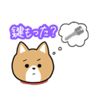 柴犬似エリーちゃん（個別スタンプ：35）