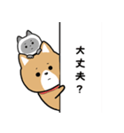 柴犬似エリーちゃん（個別スタンプ：37）