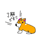 コーギーのさくらちゃん（個別スタンプ：2）