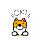 コーギーのさくらちゃん（個別スタンプ：3）