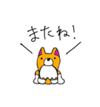 コーギーのさくらちゃん（個別スタンプ：7）