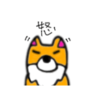 コーギーのさくらちゃん（個別スタンプ：9）