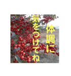 挨♡拶（個別スタンプ：7）