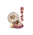 もこちゃん＆そら豆（個別スタンプ：2）