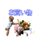 もこちゃん＆そら豆（個別スタンプ：5）