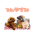 もこちゃん＆そら豆（個別スタンプ：7）