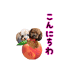 もこちゃん＆そら豆（個別スタンプ：12）