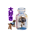 もこちゃん＆そら豆（個別スタンプ：19）