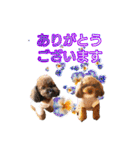 もこちゃん＆そら豆（個別スタンプ：22）