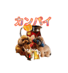 もこちゃん＆そら豆（個別スタンプ：27）