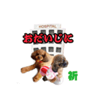 もこちゃん＆そら豆（個別スタンプ：33）