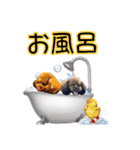 もこちゃん＆そら豆（個別スタンプ：36）