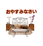 もこちゃん＆そら豆（個別スタンプ：38）