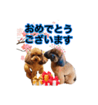 もこちゃん＆そら豆（個別スタンプ：40）