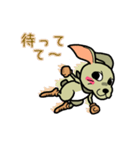 ちゃたろう風味（個別スタンプ：21）