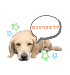 ルビーといっしょ2（個別スタンプ：1）