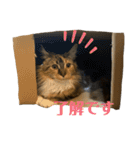こばんスタンプ 1（個別スタンプ：8）