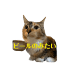 こばんスタンプ 1（個別スタンプ：19）