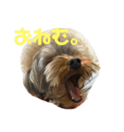 まるandつぶ（個別スタンプ：4）