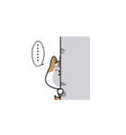 まろしば三兄弟（個別スタンプ：17）