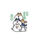 まろしば三兄弟（個別スタンプ：20）