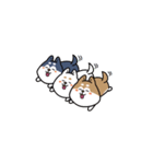 まろしば三兄弟（個別スタンプ：23）