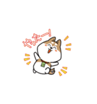 まろしば三兄弟（個別スタンプ：24）