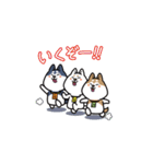 まろしば三兄弟（個別スタンプ：32）